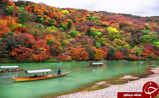 معرفی شهر کیوتو +بهترین زمان سفر و مناطق گردشگری