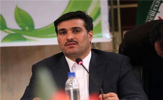 سنجاب&zwnj;ها بلای جان باغداران قزوین