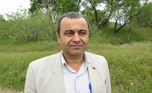 سنجاب&zwnj;ها بلای جان باغداران قزوین