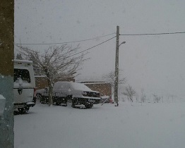 بارش اولین برف زمستانی در شهر نایین