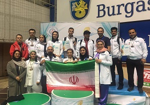 درخشش ووشوکار کردستانی در رقابت‌های جهانی