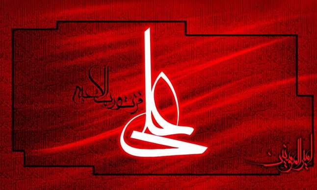 علت سکوت امام علی (ع) در جریان غصب خلافت چه بود؟