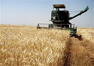 ابلاغ طرح بخشودگی جریمه دیرکرد تسهیلات بانکی کشاورزان