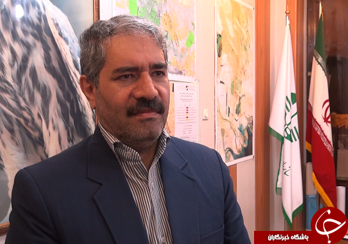 قاچاق زهر عقرب، تجارتی به نفع سودجویان به زیان خوزستان