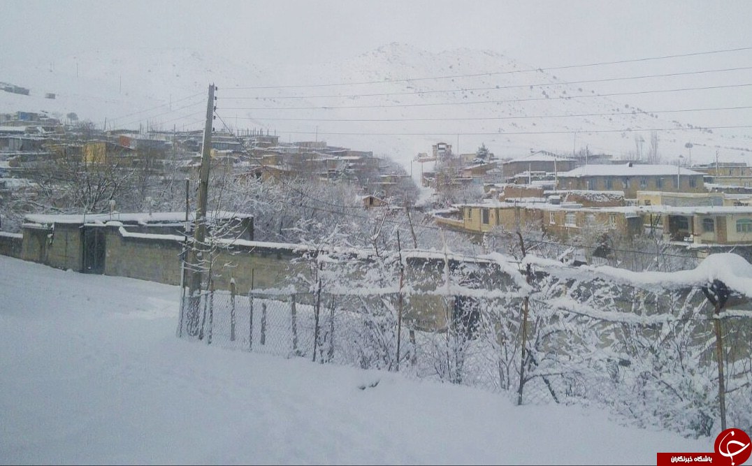 طبیعت زمستای در روستای مامن + تصاویر