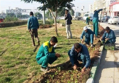 پاس‌کاری کارگران بین شهرداری و پیمانکار/کارگران فضای سبز خرم‌آباد ۱۰ ماه حقوق نگرفتند