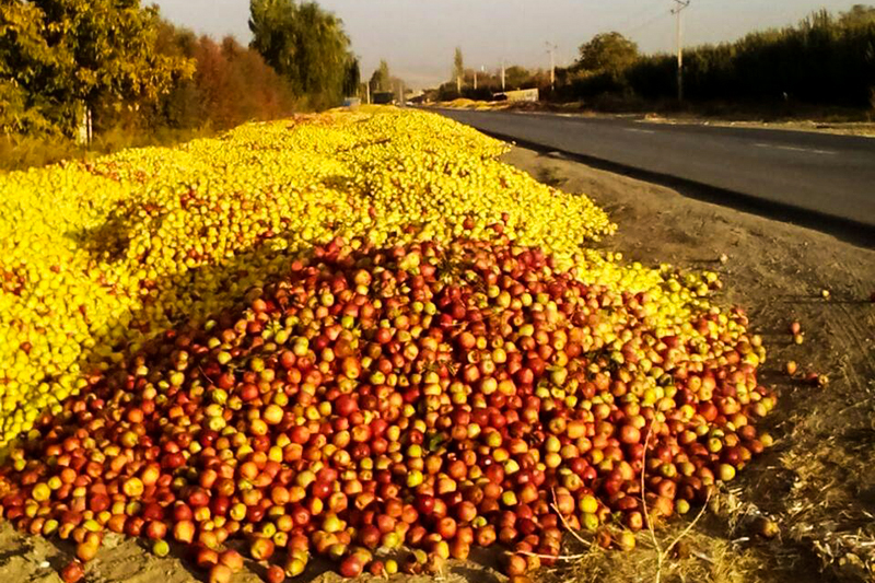 میزان تلفات محصولات باغی در کهگیلویه و بویراحمد نگران کننده است