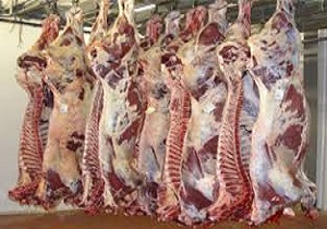 توزیع ۶۸۵ تن گوشت قرمز در اردبیل