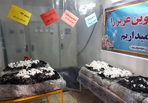 افتتاح اولین کارگاه پرورش قارچ در یکی از دبیرستان های بهبهان