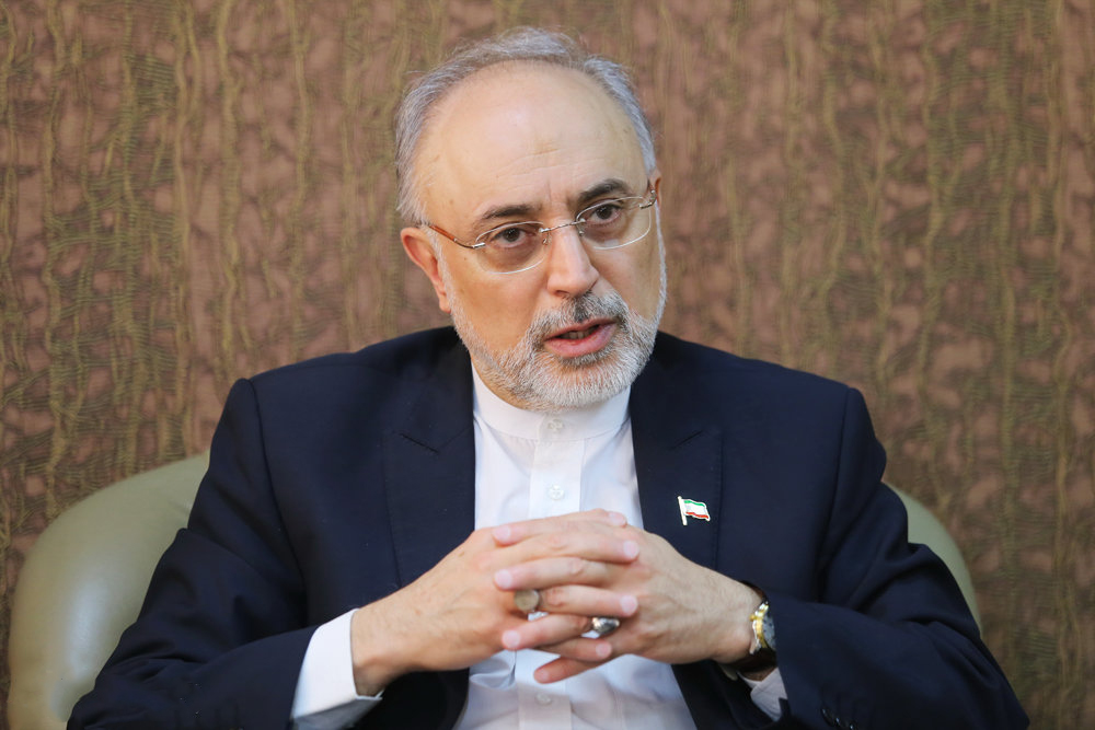 صالحی: آیت&zwnj;الله هاشمی شاهرودی از حضور در میدان جهاد سیاسی نیز غافل نماند