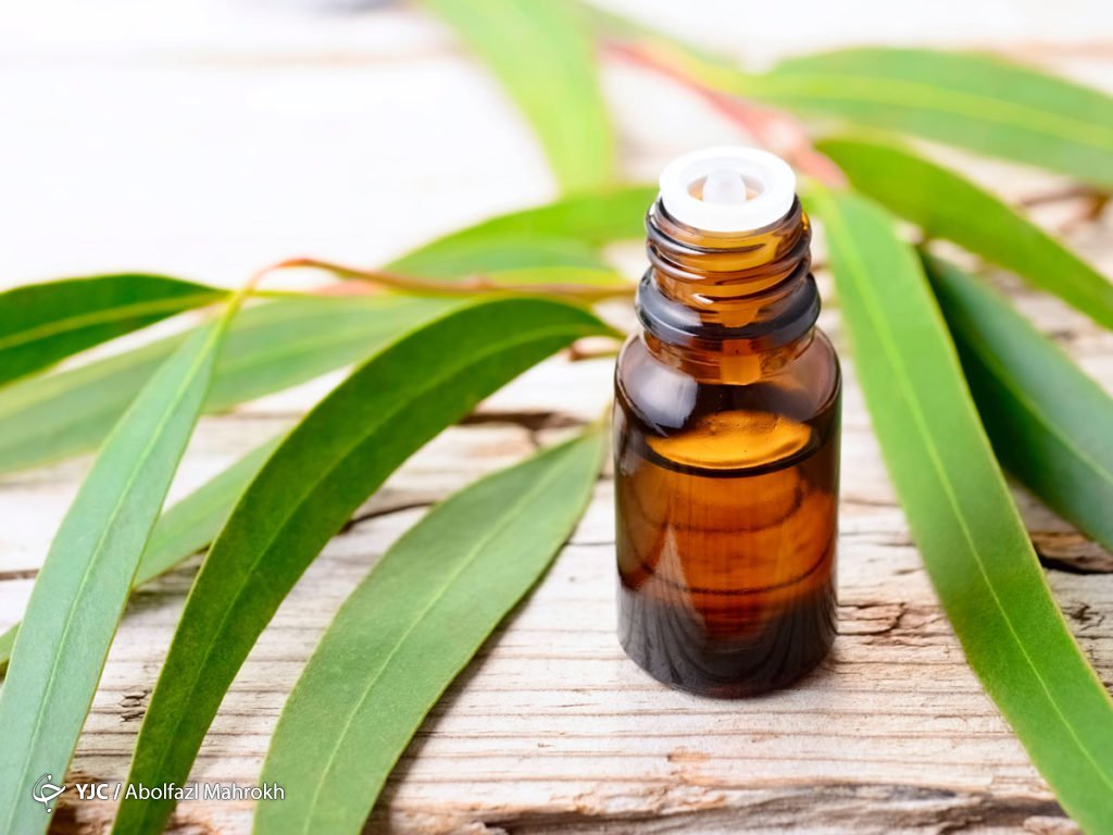 چگونه از ترکیب روغن&zwnj;ها داروی شفابخش بسازیم؟