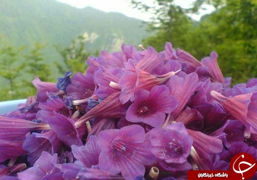 نگاهی گذرا به مهمترین رویداد&zwnj;های سه شنبه ۴ دی ماه درمازندران