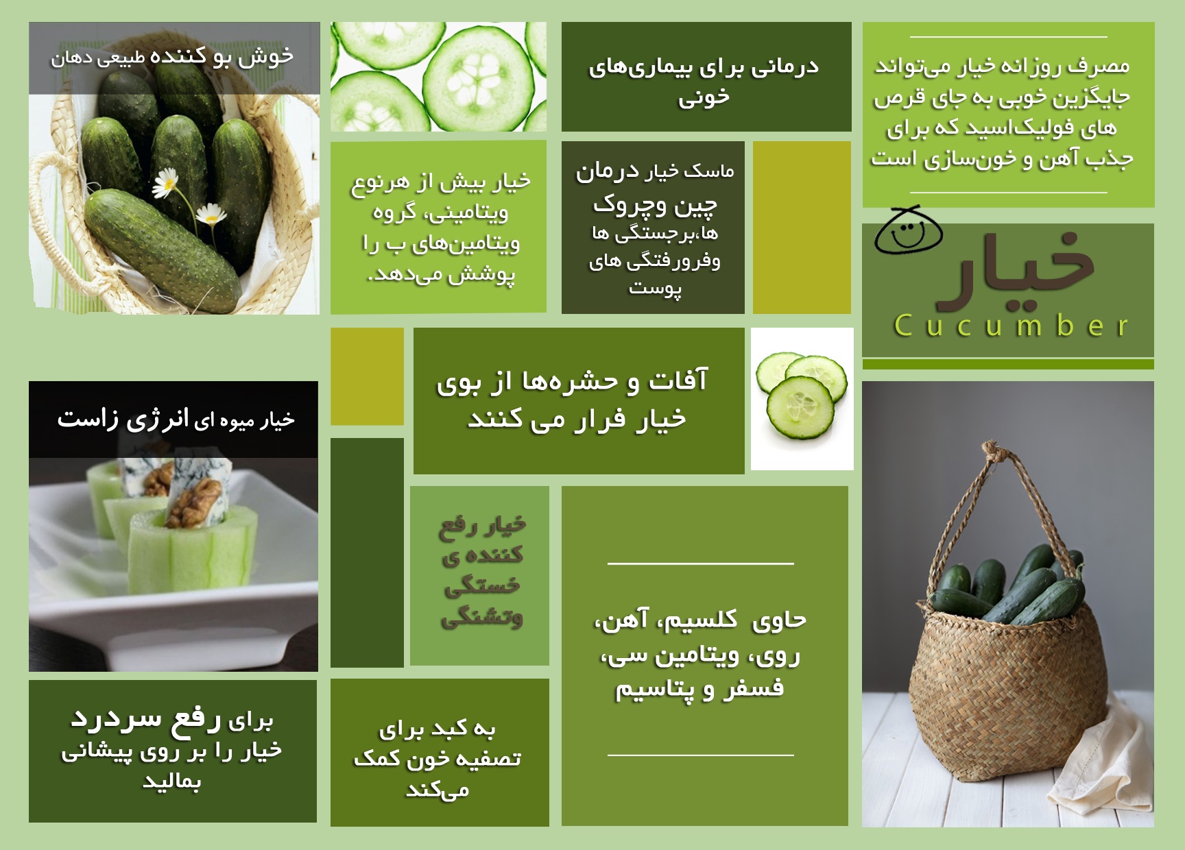 اینفو پنجشنبه///10درمان طلایی برای مصرف خیار+ اینفوگرافی