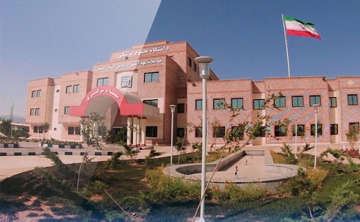 تبلور سلامت در سایه ۴۰ سالگی انقلاب اسلامی