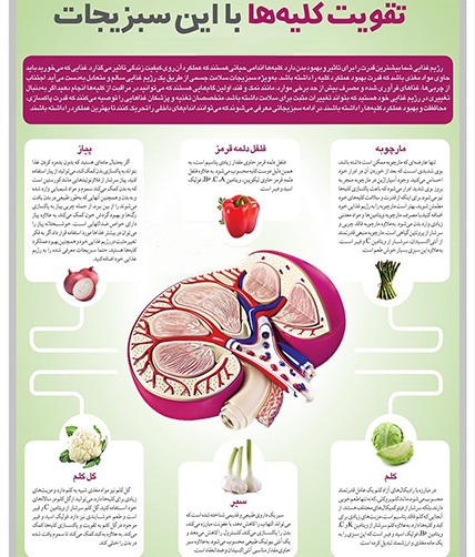 این سبزیجات را بخورید تا کلیه&zwnj;های سالم داشته باشید + اینفوگرافی