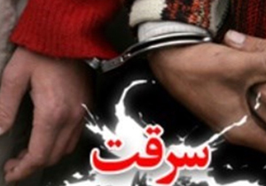 افزایش ۹۰ درصدی کشف سرقت در سیستان و بلوچستان