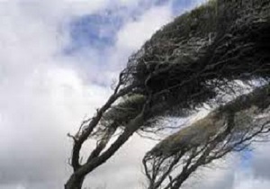 وزش باد با سرعت ۸۳ کیلومتر بر ساعت در اردبیل