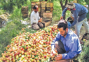 با بالابردن میزان بهره وری شاهد افزایش حقوق کارکنان این شرکت خو‌اهیم بود