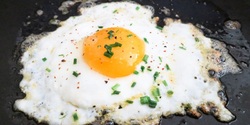 مواد مغذی سفیده تخم مرغ