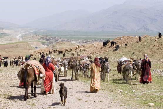 ثبت مشخصات سجلی هفت هزار و 200 خانوار عشایری ایلام