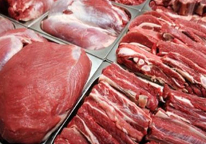 ادامه توزیع گوشت منجمد تا ثبات قیمت در بازار
