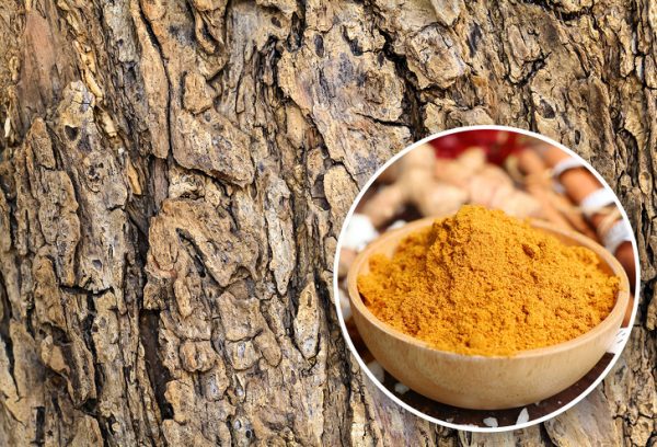 چیز&zwnj;های عجیبی که نمی&zwnj;دانستید قابل خوردن هستند