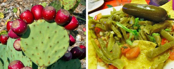 چیز&zwnj;های عجیبی که نمی&zwnj;دانستید قابل خوردن هستند