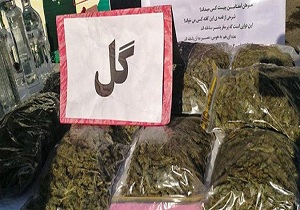 ۸ کیلو گرم مواد مخدر گل کشف شد