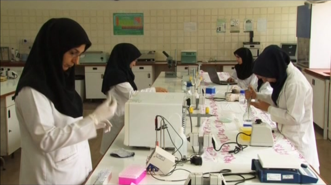 قوچ افشاری اصلاح نژاد شده ثمره کار و تحقیق محققان زنجانی / طرح اصلاح نژاد گوسفند افشار، ایران را در زمره کشورهای صاحب فن آوری اصلاح نژاد دامی قرار داد ه است