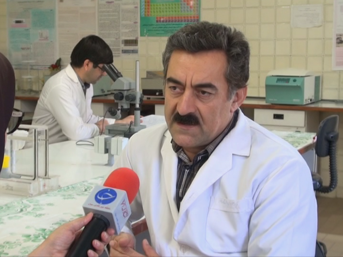 قوچ افشاری اصلاح نژاد شده ثمره کار و تحقیق محققان زنجانی / طرح اصلاح نژاد گوسفند افشار، ایران را در زمره کشورهای صاحب فن آوری اصلاح نژاد دامی قرار داد ه است