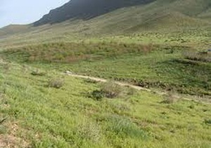 اجرای طرح حفاظت مشارکتی در بیش از ۶ هزار هکتار مراتع حجای آباد