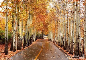 حفظ اکوسیستم طبیعی غرب شهر اصفهان پس از ۲۰ سال