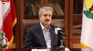 افتتاح ۷۳۵ پروژه برق رسانی  در دهه مبارک فجر