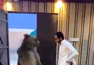 زورآزمایی شهروند عراقی با خرس غول&zwnj;پیکر! +فیلم