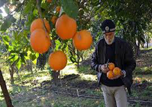 نگاهی گذرا به مهمترین رویداد&zwnj;های پنج شنبه ۶ دی ماه در مازندران
