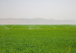 زنده کردن یاد خاطرات عملیات «کربلای پنج» + فیلم