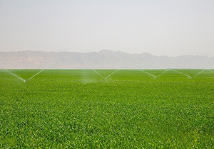 اجرای طرحی عظیم که رونق و آبادانی را به کشور هدیه می‌کند + فیلم