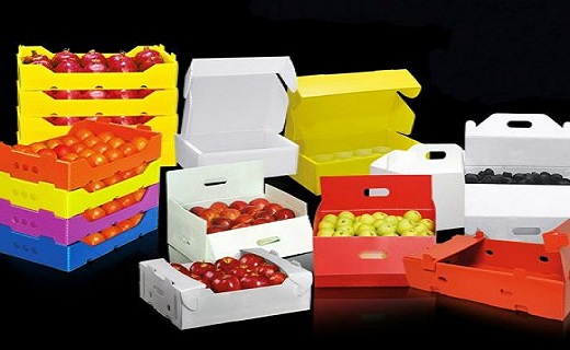 قیمت انواع سبد پلاستیکی و انواع کارتن خالی