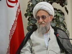 حماسه ۹ دی بیانگر یک اقدام انقلابی است / ۹ دی سیلی محکم مردمی به جریان انحرافی بود