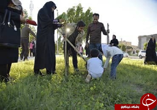 اجرای طرح 
