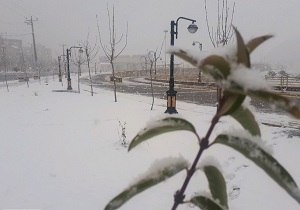 لحظات زیبای بارش برف در "پرزگان" + فیلم