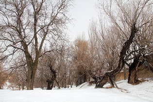 پیش بینی بارش برف و باران برای مناطق جنوبی و غربی استان اصفهان