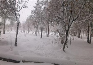 مجن ؛ رکورد دار بارش برف در استان سمنان