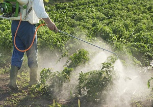 بررسی کاهش تاثیر سموم روی آفت‌ها
