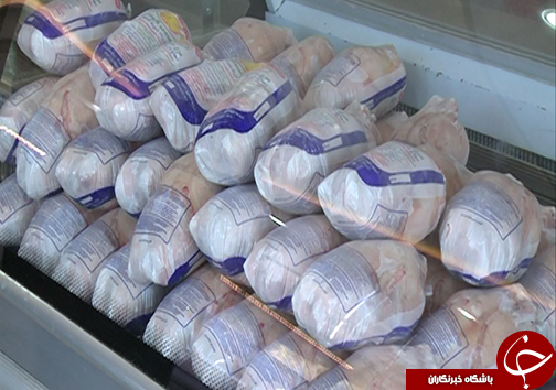 نوسانات قیمت مرغ در بازار بزرگ&zwnj;ترین تولید کننده کشور/ آیا مرغ به سبد خانوار&zwnj;های گلستانی بر می&zwnj;گردد؟