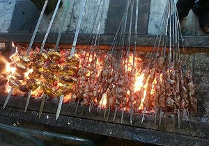 اجرای طرح جمع آوری جگرکی های سیار