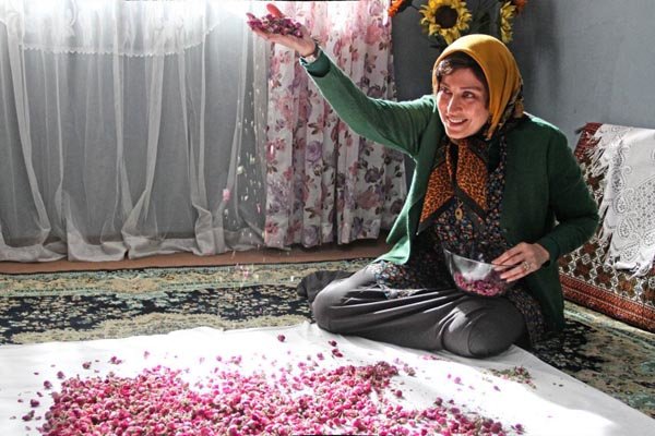 صدور پروانه نمایش خانگی برای &laquo;ماجان&raquo; و &laquo;رفقای خوب&raquo;
