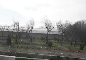 قلع و قمع درختان در شهریار + فیلم