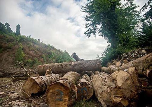 نگاهی گذرا به مهمترین رویداد&zwnj;های یکشنبه ۳۰ دی ماه در مازندران
