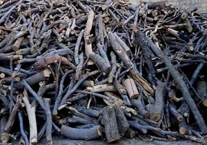 تشکیل ۱۰۵ پرونده تخلف حمل چوب بلوط قاچاق
